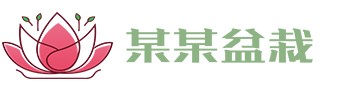 88国际彩票平台app - 88国际彩票平台app（官网）